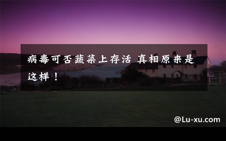 病毒可否蔬菜上存活 真相原来是这样!