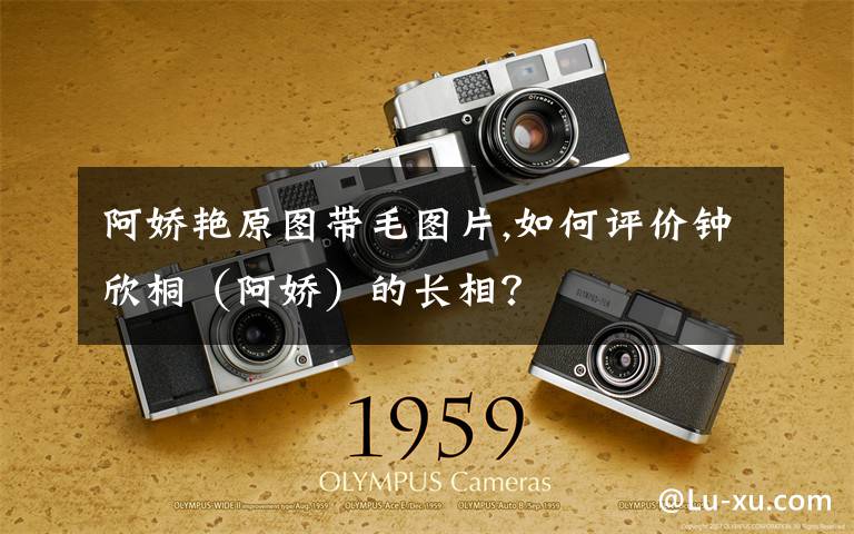 阿娇艳原图带毛图片,如何评价钟欣桐(阿娇)的长相?