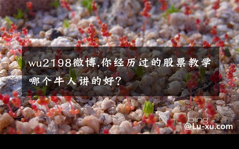 wu2198微博,你经历过的股票教学哪个牛人讲的好？