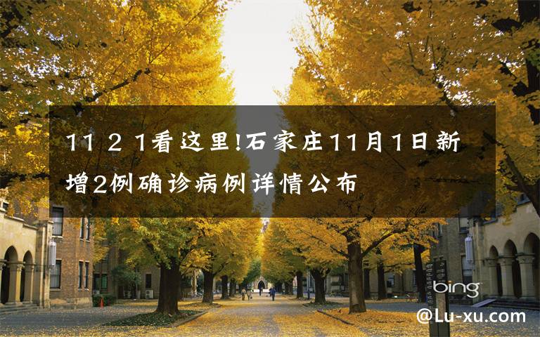 11 2 1看这里!石家庄11月1日新增2例确诊病例详情公布