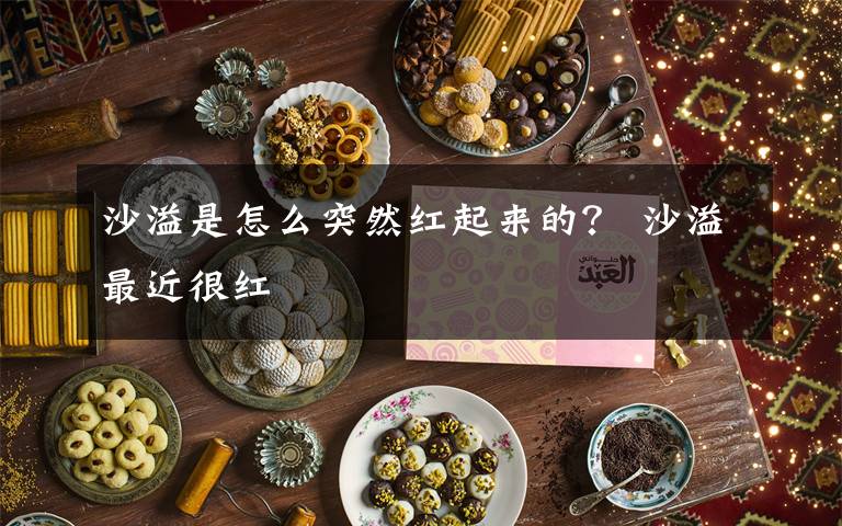 沙溢是怎么突然红起来的? 沙溢最近很红
