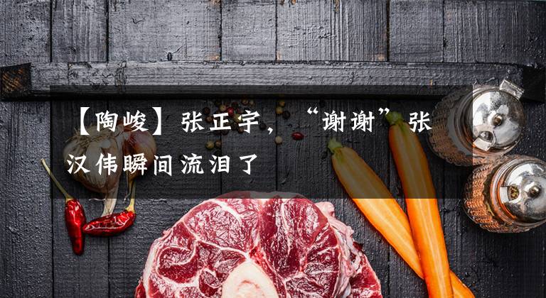 【陶峻】张正宇,“谢谢”张汉伟瞬间流泪了