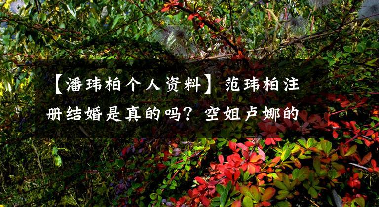【潘玮柏个人资料】范玮柏注册结婚是真的吗?空姐卢娜的头像被曝为凤子结婚