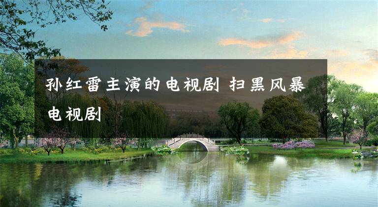 孙红雷主演的电视剧 扫黑风暴电视剧