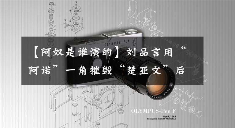 【阿奴是谁演的】刘品言用“阿诺”一角摧毁“楚亚文”后,减肥成为减肥女神!