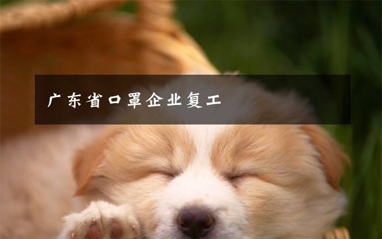 广东省口罩企业复工