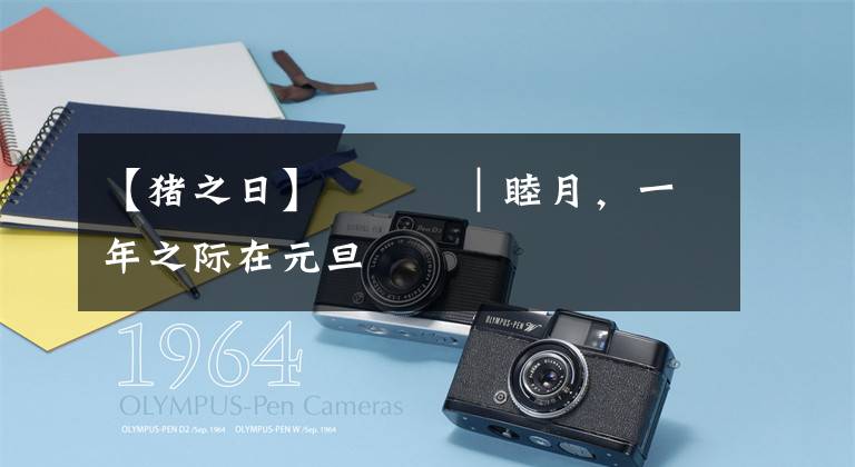 【猪之日】歳時記｜睦月，一年之际在元旦