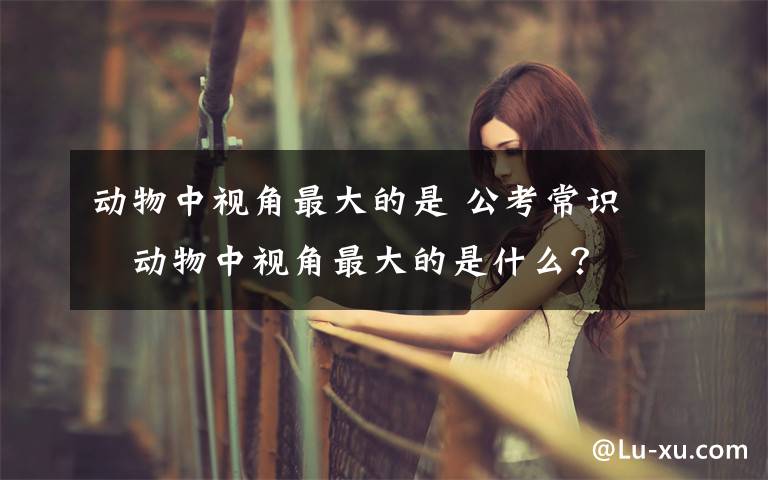 动物中视角最大的是 公考常识 ▏动物中视角最大的是什么?