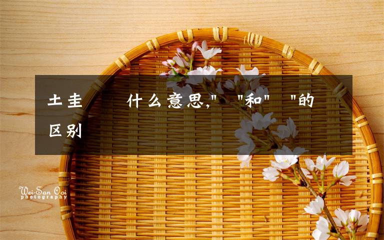 土圭垚壵什么意思,