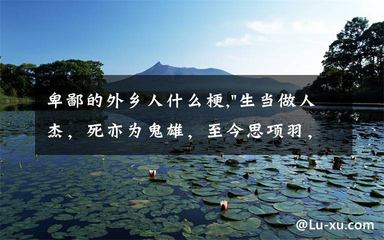 卑鄙的外乡人什么梗,