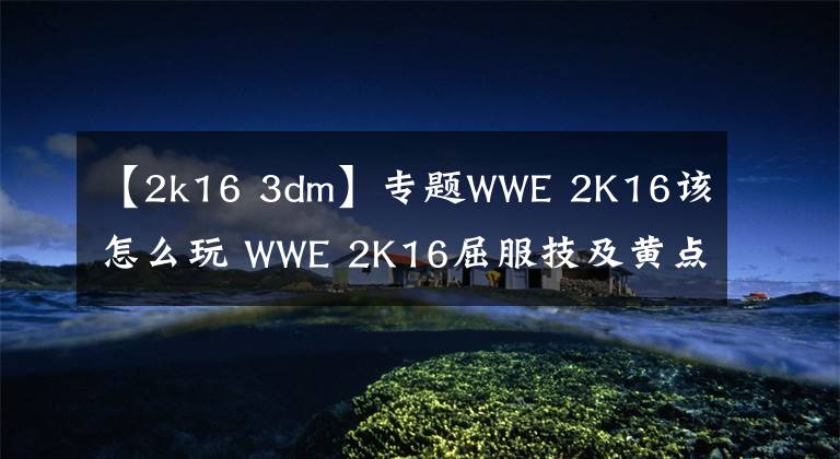 【2k16 3dm】专题WWE 2K16该怎么玩 WWE 2K16屈服技及黄点使用小贴士