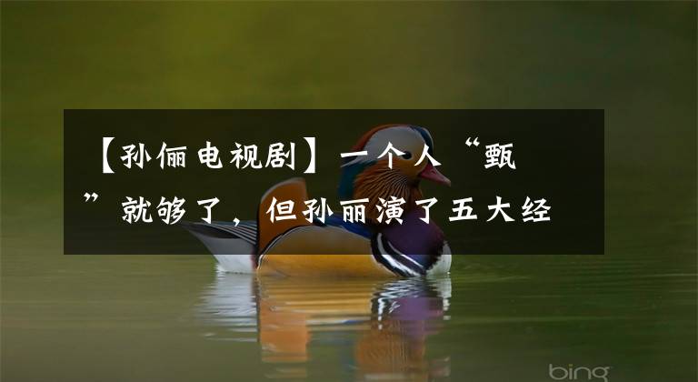 【孙俪电视剧】一个人“甄嬛”就够了,但孙丽演了五大经典角色。