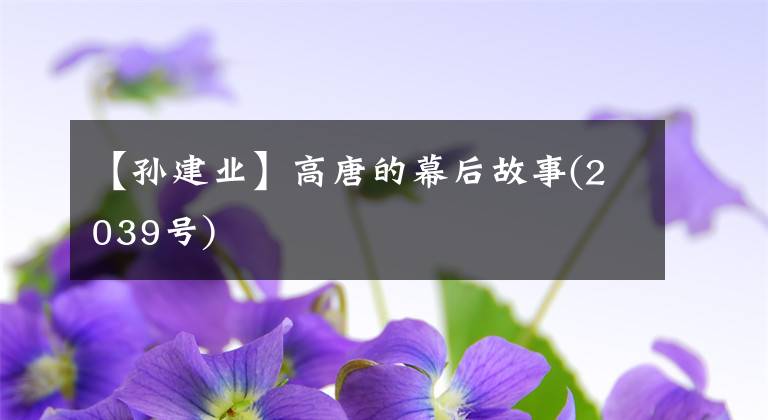 【孙建业】高唐的幕后故事(2039号)
