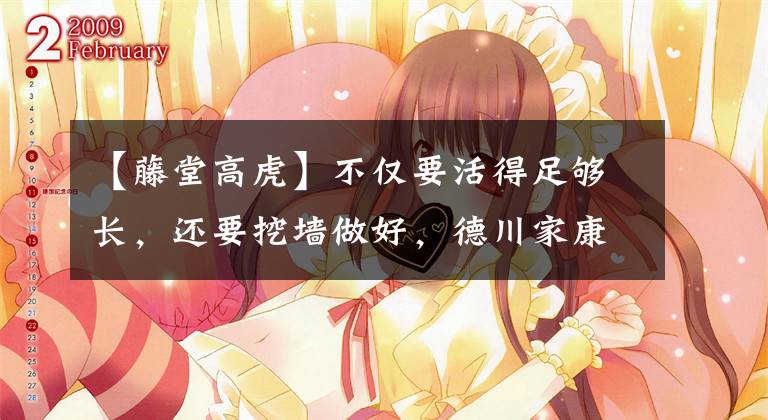 【藤堂高虎】不仅要活得足够长,还要挖墙做好,德川家康到最后都可以依靠这两种手段