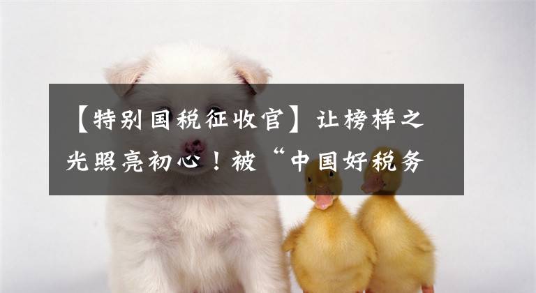 【特别国税征收官】让榜样之光照亮初心！被“中国好税务官”的故事刷屏