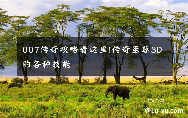 007传奇攻略看这里!传奇至尊3D的各种技能