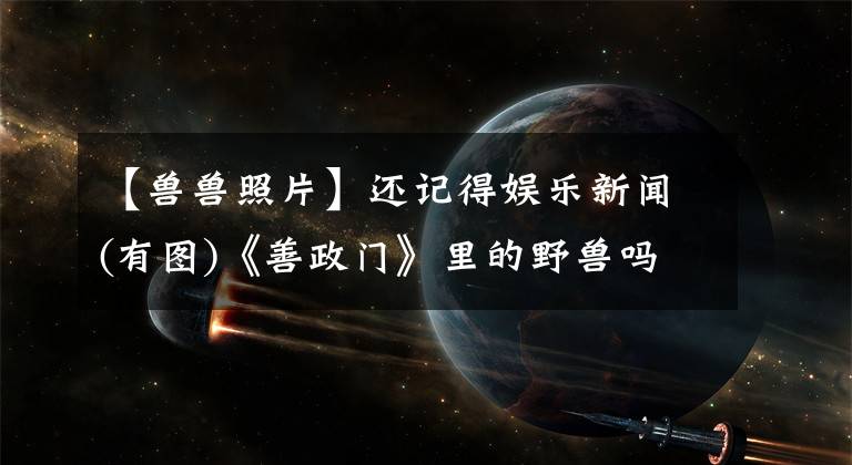 【兽兽照片】还记得娱乐新闻(有图)《善政门》里的野兽吗？怀孕了还很火辣！