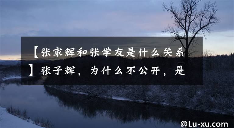 【张家辉和张学友是什么关系】张子辉,为什么不公开,是张学友,兄弟关系吗?