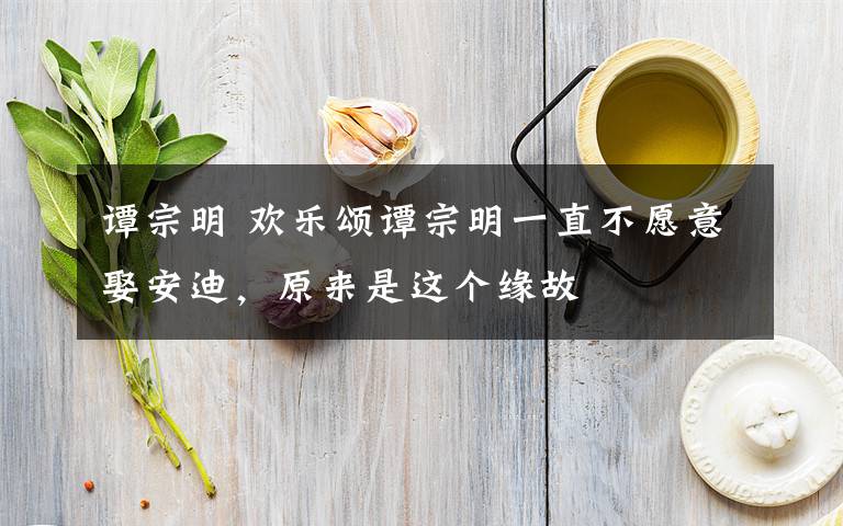 谭宗明 欢乐颂谭宗明一直不愿意娶安迪,原来是这个缘故