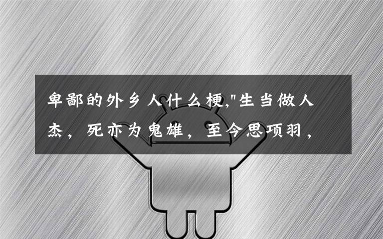 卑鄙的外乡人什么梗,