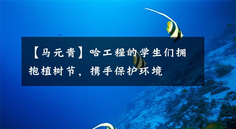 【马元青】哈工程的学生们拥抱植树节,携手保护环境
