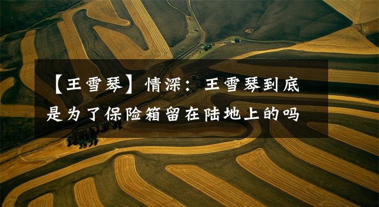 【王雪琴】情深:王雪琴到底是为了保险箱留在陆地上的吗?想起三个故事