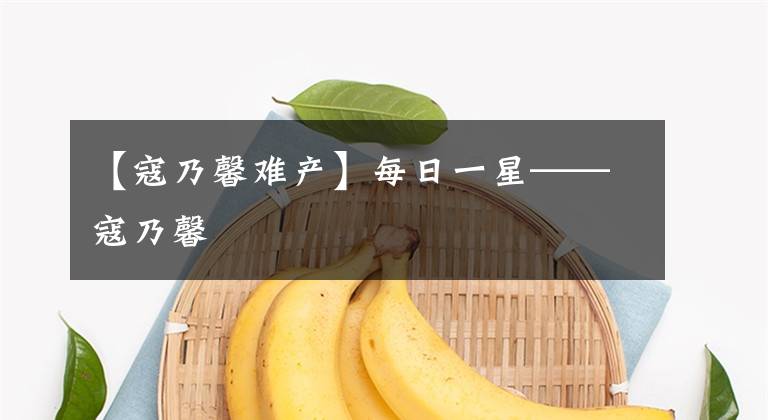 【寇乃馨难产】每日一星——寇乃馨