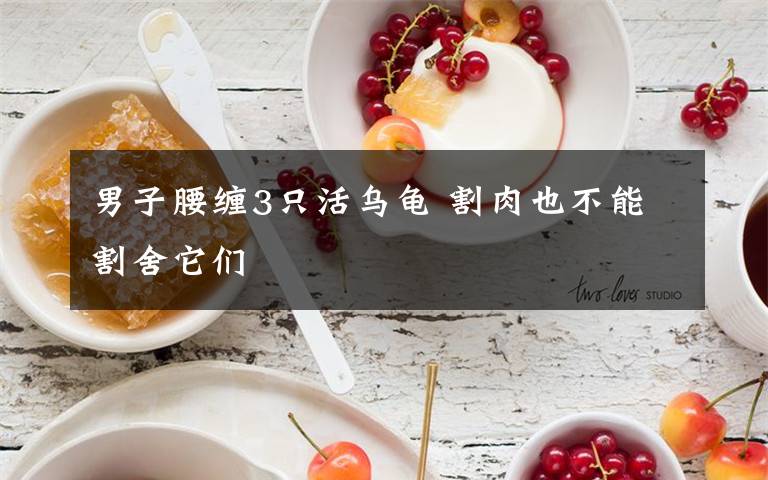 男子腰缠3只活乌龟 割肉也不能割舍它们