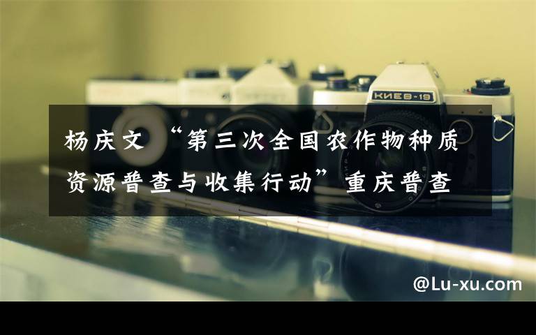杨庆文 “第三次全国农作物种质资源普查与收集行动”重庆普查与收集活动启动暨培训会圆满召开