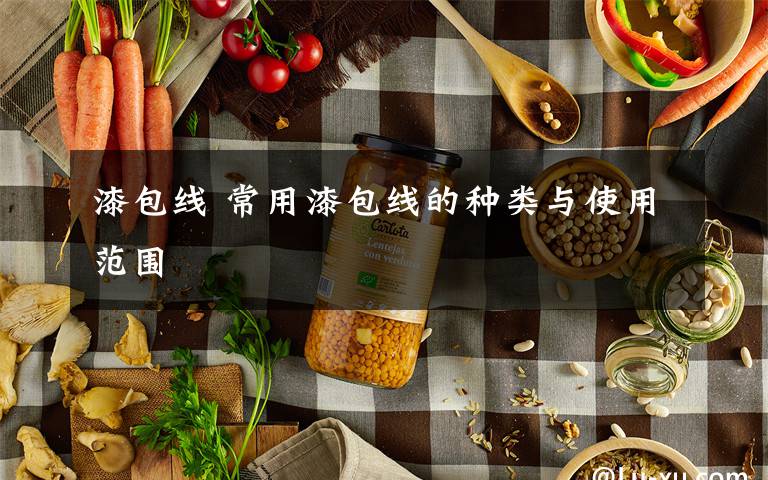 漆包线 常用漆包线的种类与使用范围