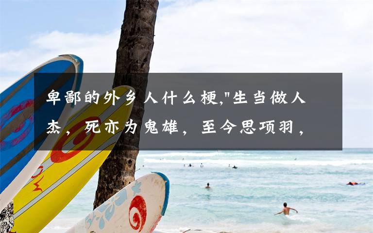 卑鄙的外乡人什么梗,