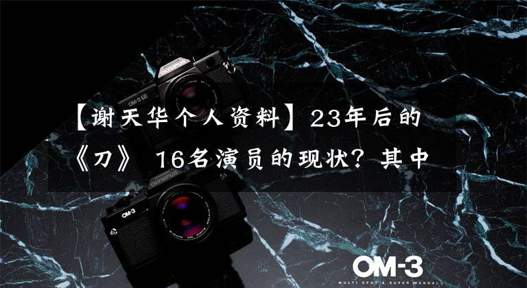 【谢天华个人资料】23年后的《刀》 16名演员的现状?其中4人曾延期到《古惑仔》人