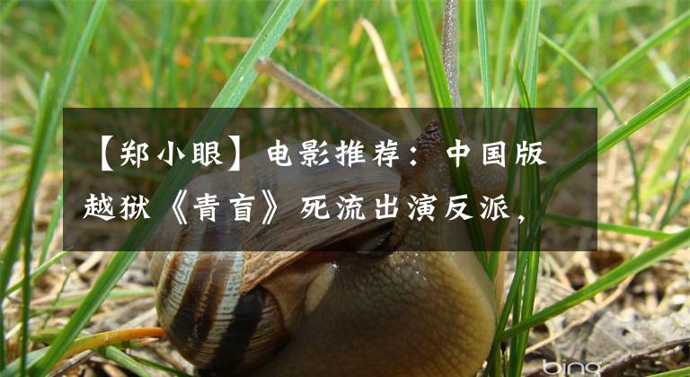 【郑小眼】电影推荐：中国版越狱《青盲》死流出演反派，方村之间起伏不定。