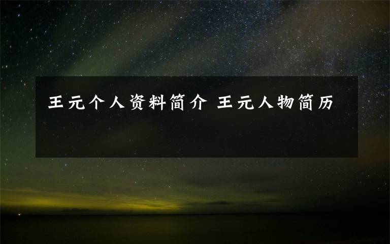 王元个人资料简介 王元人物简历