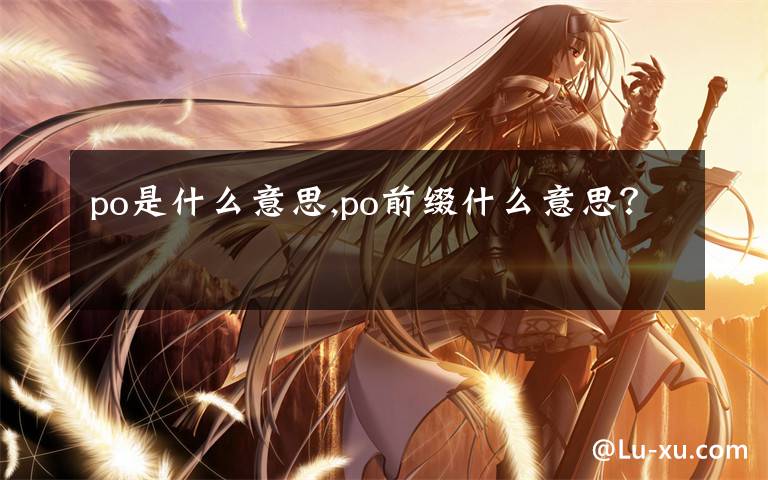 po是什么意思,po前缀什么意思？