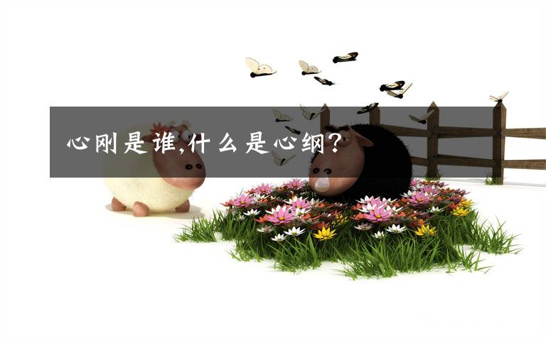 心刚是谁,什么是心纲?