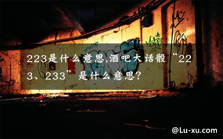 223是什么意思,酒吧大话骰“223、233”是什么意思?