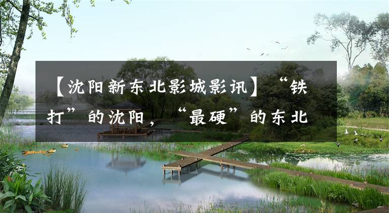 【沈阳新东北影城影讯】“铁打”的沈阳,“最硬”的东北菜!小鸡炖蘑菇,酸菜炖白肉.都暻菜