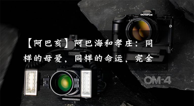 【阿巴亥】阿巴海和孝庄:同样的母爱,同样的命运,完全不同的结局。