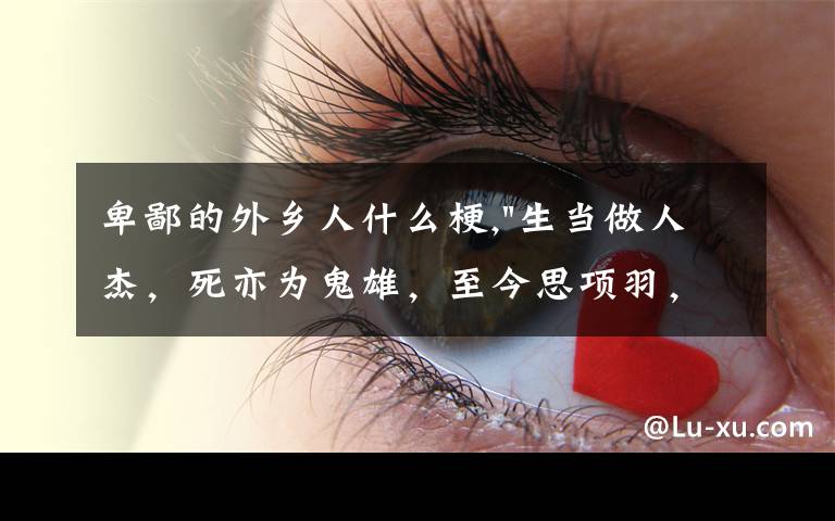 卑鄙的外乡人什么梗,