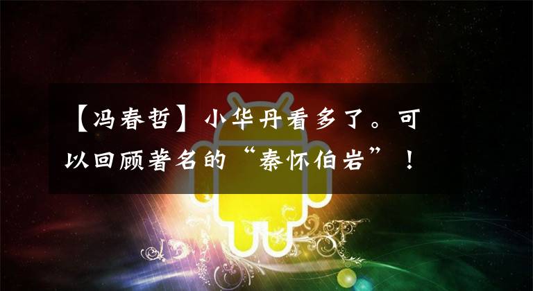 【冯春哲】小华丹看多了。可以回顾著名的“秦怀伯岩”!