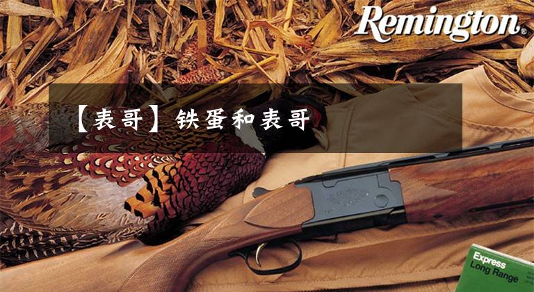 【表哥】铁蛋和表哥