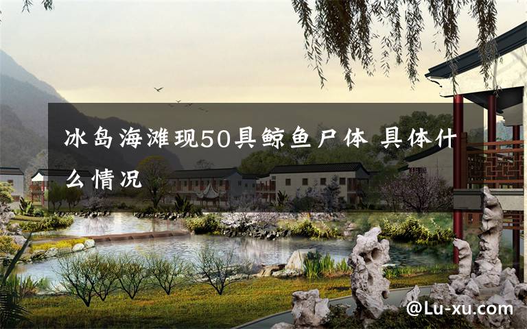 冰岛海滩现50具鲸鱼尸体 具体什么情况