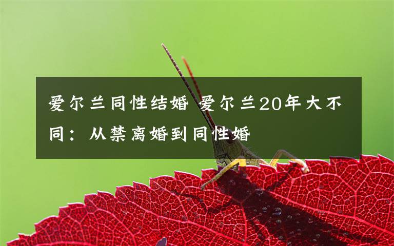 爱尔兰同性结婚 爱尔兰20年大不同:从禁离婚到同性婚