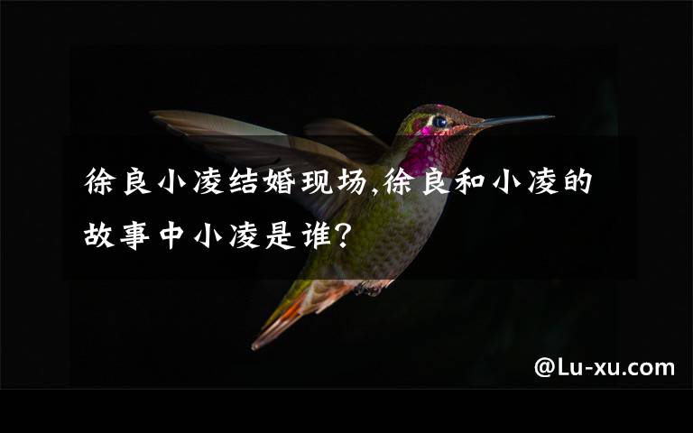 徐良小凌结婚现场,徐良和小凌的故事中小凌是谁？