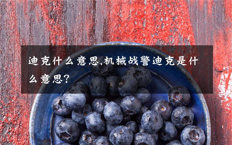 迪克什么意思,机械战警迪克是什么意思?