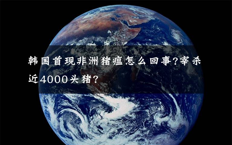 韩国首现非洲猪瘟怎么回事?宰杀近4000头猪?