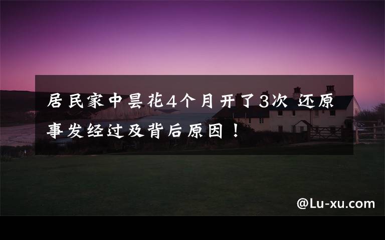 居民家中昙花4个月开了3次 还原事发经过及背后原因!