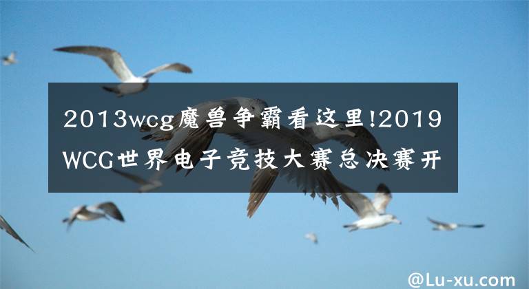 2013wcg魔兽争霸看这里!2019WCG世界电子竞技大赛总决赛开幕