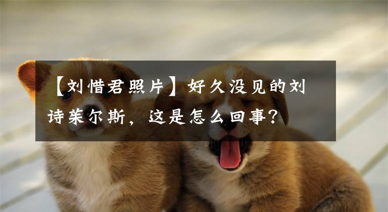 【刘惜君照片】好久没见的刘诗茱尔斯，这是怎么回事？